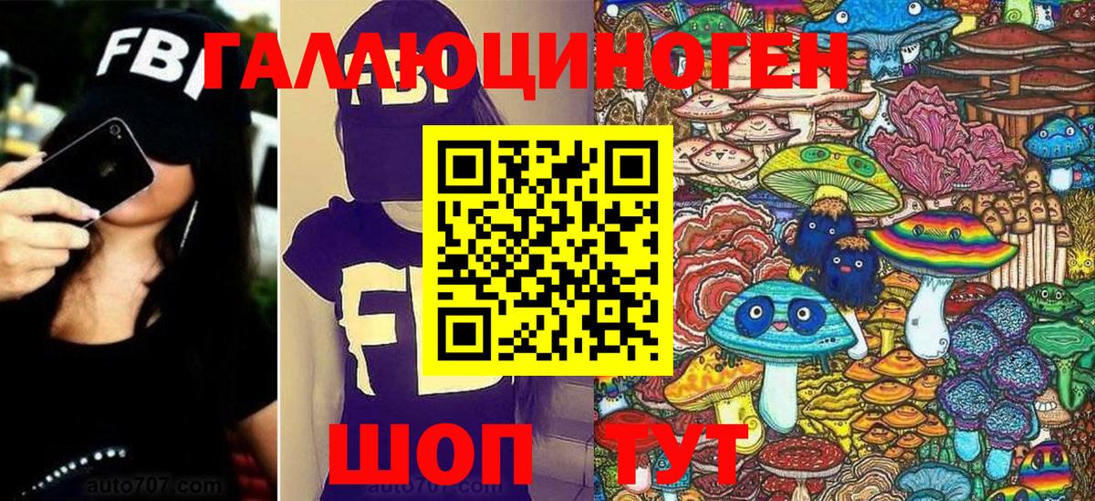 Псилоцибиновые грибы Psilocybe Абакан